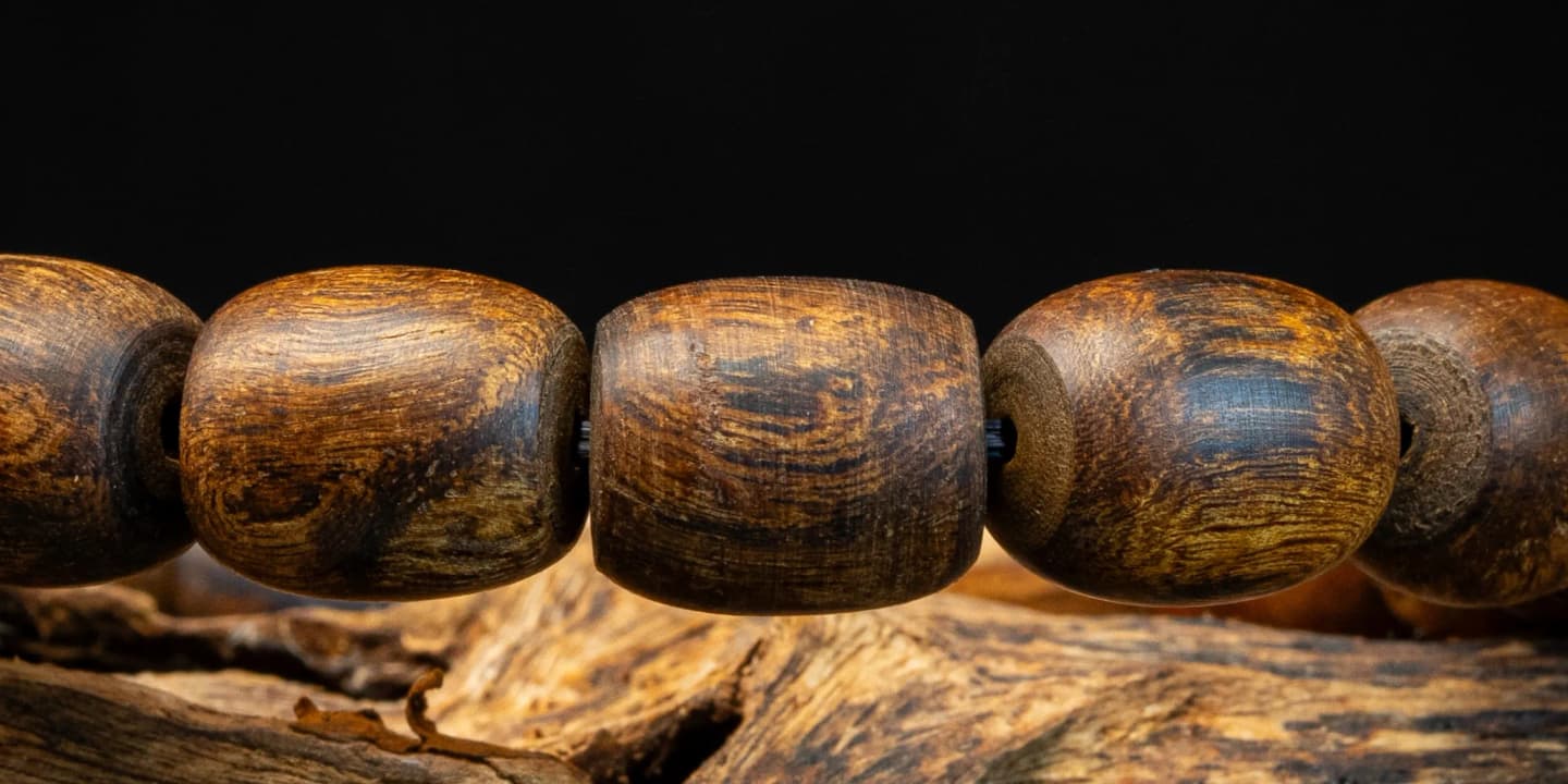 Banner Image Banner Image