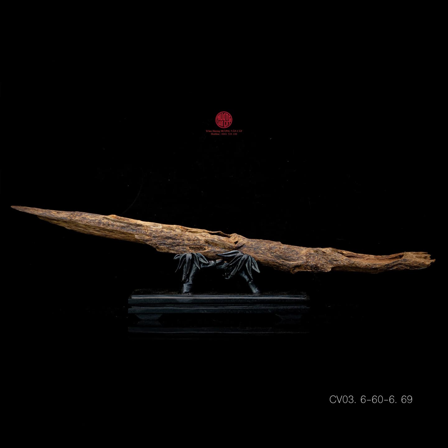 Trầm Cảnh Hiếm Có Trầm Cảnh Hiếm Có