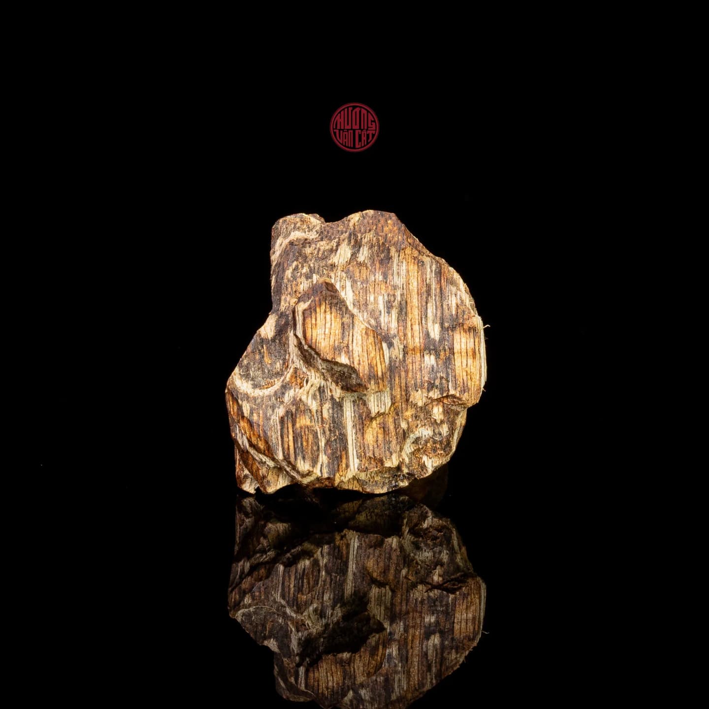 Kỳ Nam Hiếm Có Kỳ Nam Hiếm Có